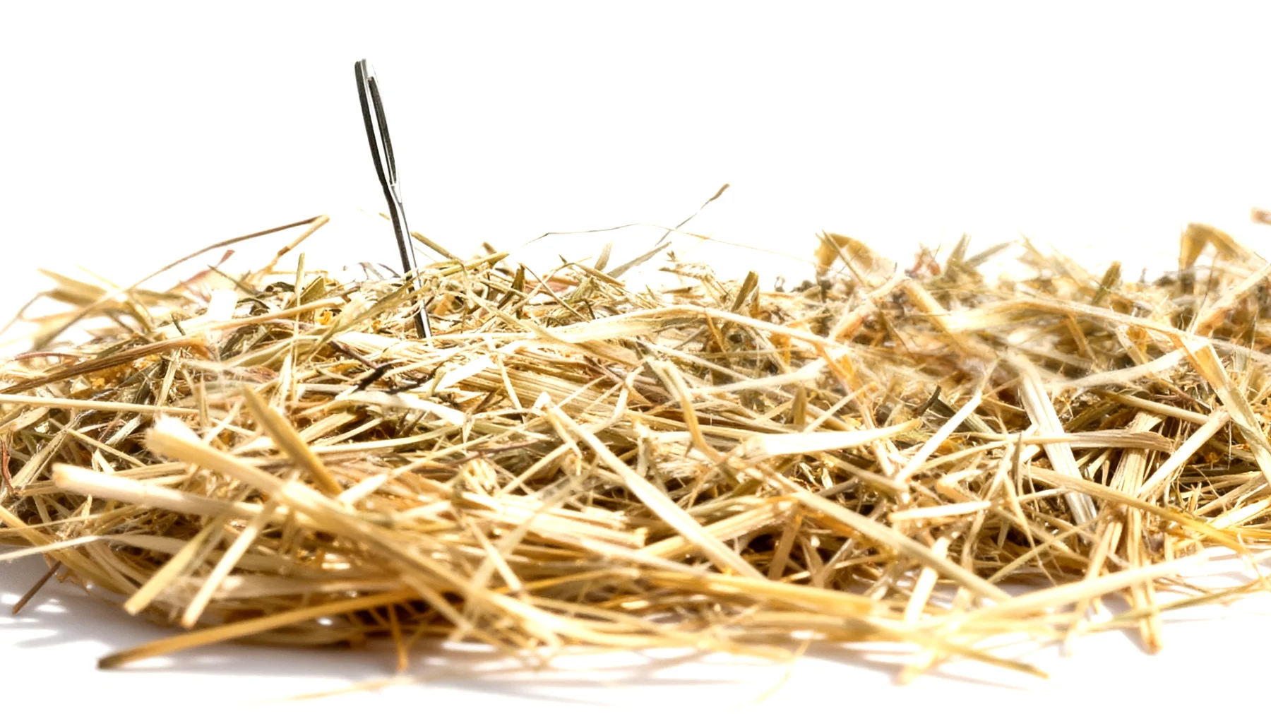 Gute Zeiten, schlechte Zeiten (GZSZ)2026-03-17T16:36:21.738Z"