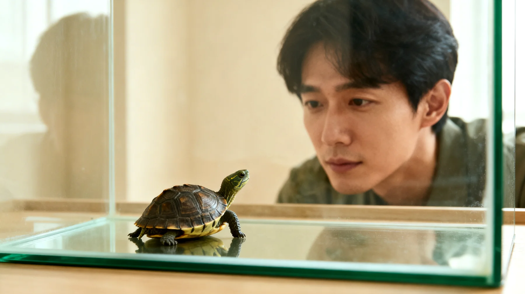 Schildkröten können nicht trainiert werden und benötigen nach einer Kastration keine verhaltensbasierten Übungen, da sie instinktgesteuerte Reptilien sind"